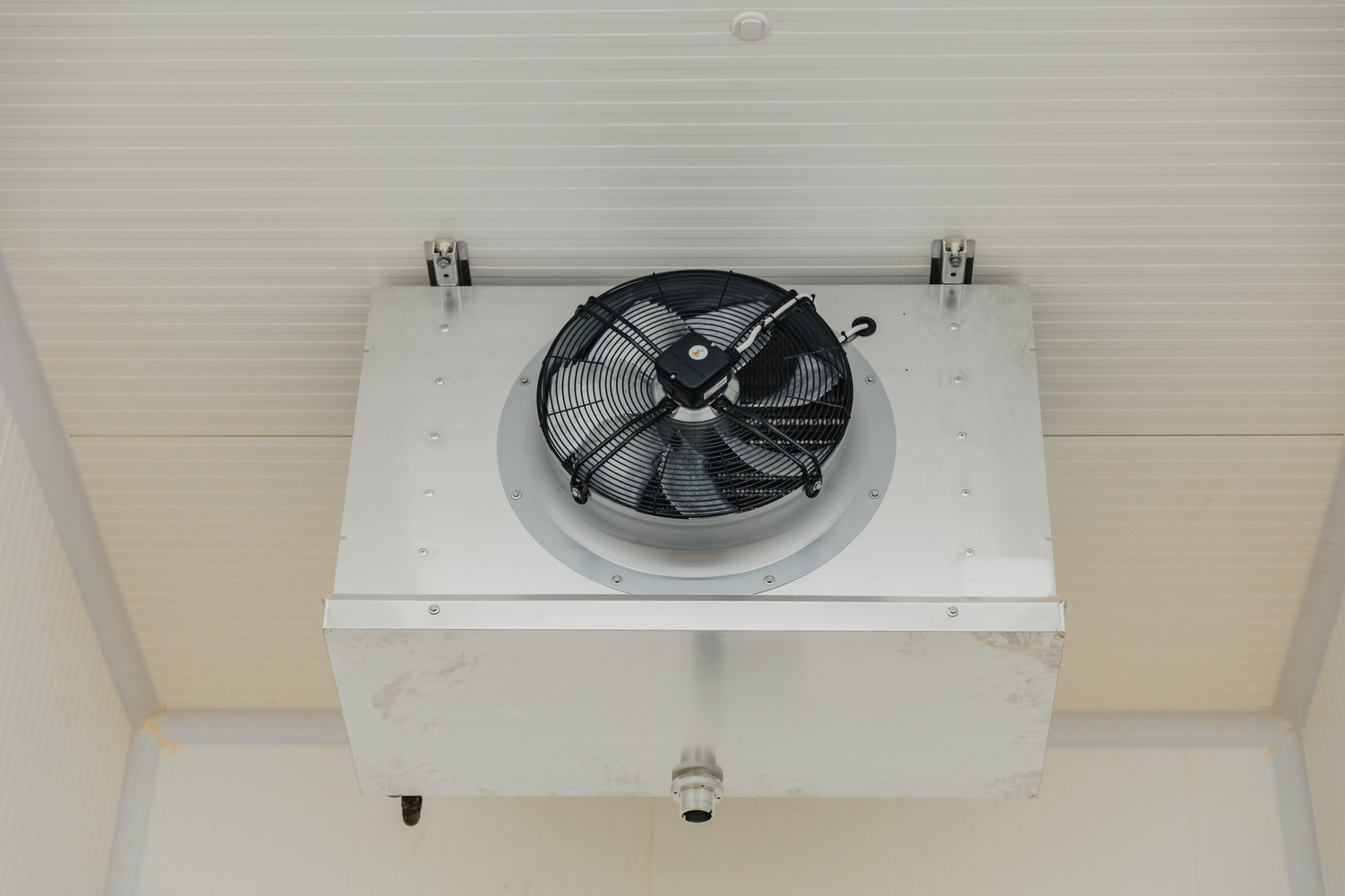 Fan systems in the cold room